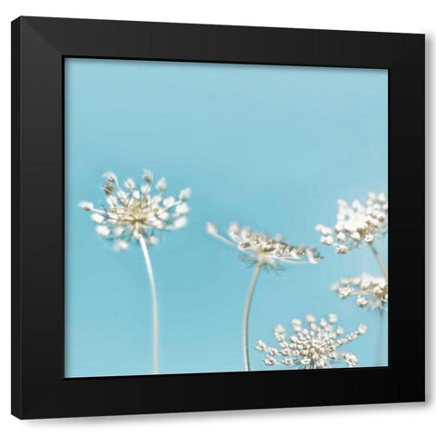 Queens 40 Black Modern Wood Framed Art Print with Double Matting by Telik, Tracey