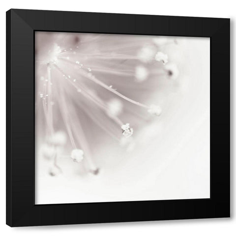 Flagella 2 Black Modern Wood Framed Art Print by Urban Epiphany