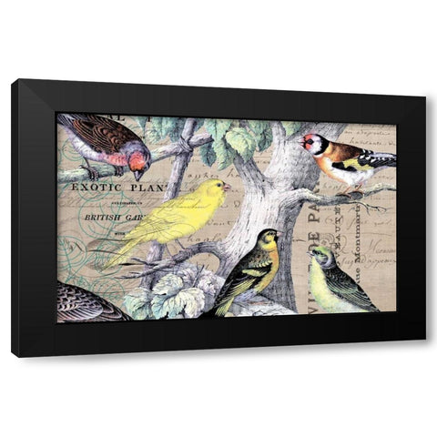 Bird Botanical 4 Black Modern Wood Framed Art Print by Jordan, Elizabeth