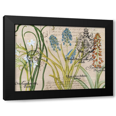 Flower Botanical Black Modern Wood Framed Art Print by Jordan, Elizabeth