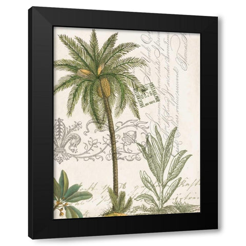 Palm Rectangle 1 Black Modern Wood Framed Art Print with Double Matting by Jordan, Elizabeth