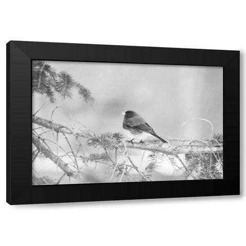 Waiting On The World To Change Black Modern Wood Framed Art Print with Double Matting by Jordan, Elizabeth