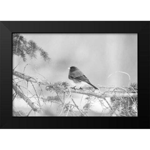 Waiting On The World To Change Black Modern Wood Framed Art Print by Jordan, Elizabeth