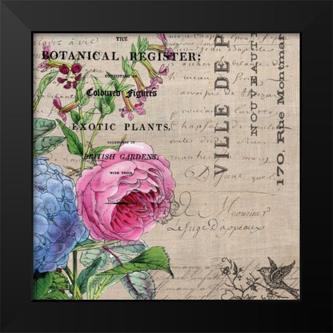 Botanical Register 1 Black Modern Wood Framed Art Print by Jordan, Elizabeth