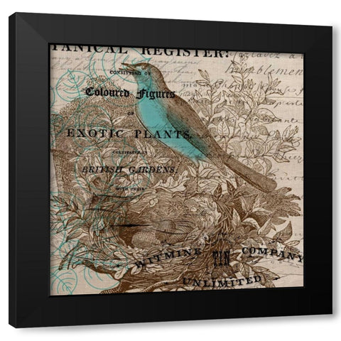 Bird Botanical 5 Black Modern Wood Framed Art Print with Double Matting by Jordan, Elizabeth