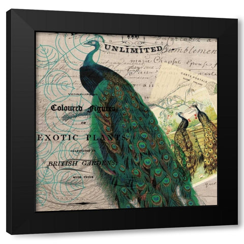 Bird Botanical 6 Black Modern Wood Framed Art Print by Jordan, Elizabeth