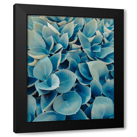 Green Plants Happy Day 1 Black Modern Wood Framed Art Print by Urban Epiphany