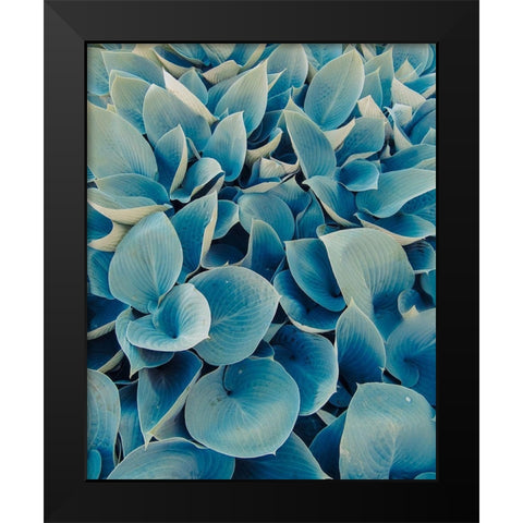 Green Plants Happy Day 1 Black Modern Wood Framed Art Print by Urban Epiphany