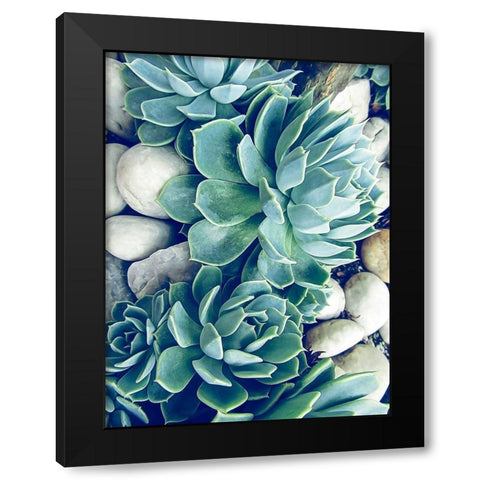 Succulents no words Black Modern Wood Framed Art Print by Urban Epiphany