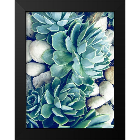 Succulents no words Black Modern Wood Framed Art Print by Urban Epiphany