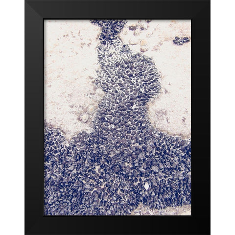 Shells 3 Black Modern Wood Framed Art Print by Urban Epiphany