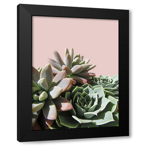 Pink Green Succulents Black Modern Wood Framed Art Print by Urban Epiphany