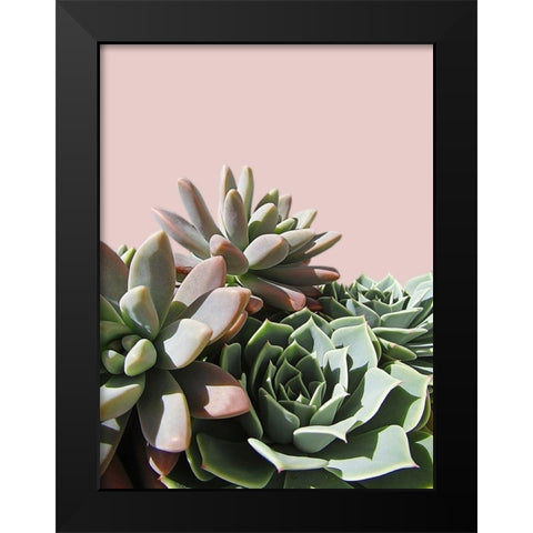 Pink Green Succulents Black Modern Wood Framed Art Print by Urban Epiphany