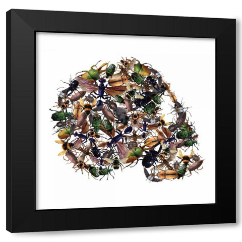 Skull 1.3.2 Black Modern Wood Framed Art Print by Brown, Victoria