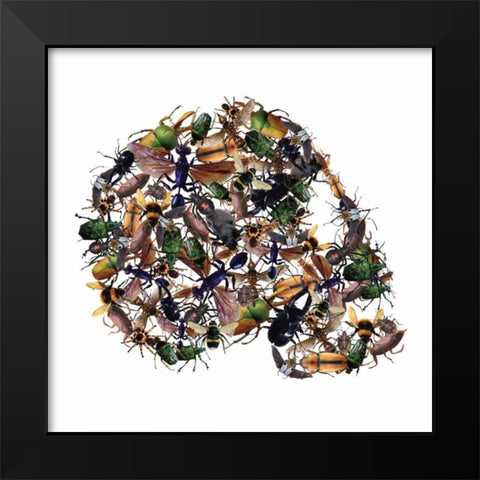 Skull 1.3.2 Black Modern Wood Framed Art Print by Brown, Victoria