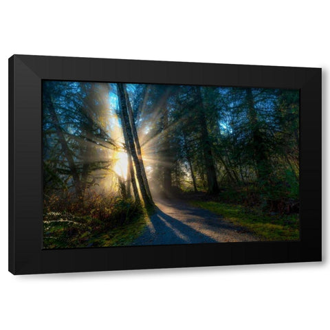 Light Rays Black Modern Wood Framed Art Print with Double Matting by Kostka, Vladimir