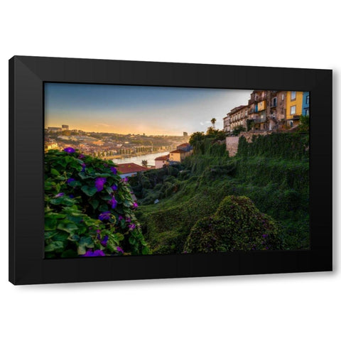 Portugal Porto Garden Black Modern Wood Framed Art Print with Double Matting by Kostka, Vladimir
