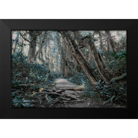 Path In The Forest 2 Black Modern Wood Framed Art Print by Kostka, Vladimir