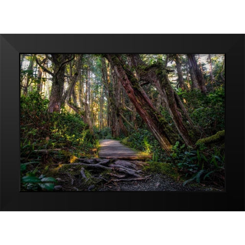 Path In The Forest Black Modern Wood Framed Art Print by Kostka, Vladimir
