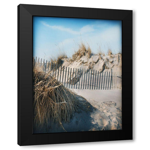 Beach Grass and Fence A Black Modern Wood Framed Art Print by Foschino, Suzanne