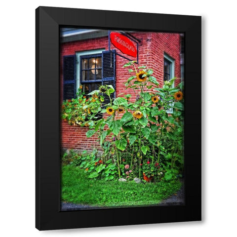 Country Store Sunflowers Black Modern Wood Framed Art Print by Foschino, Suzanne