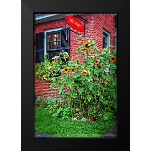 Country Store Sunflowers Black Modern Wood Framed Art Print by Foschino, Suzanne