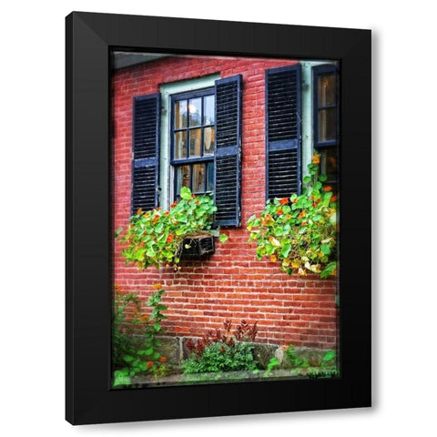 Country Store Window Flowers Black Modern Wood Framed Art Print by Foschino, Suzanne