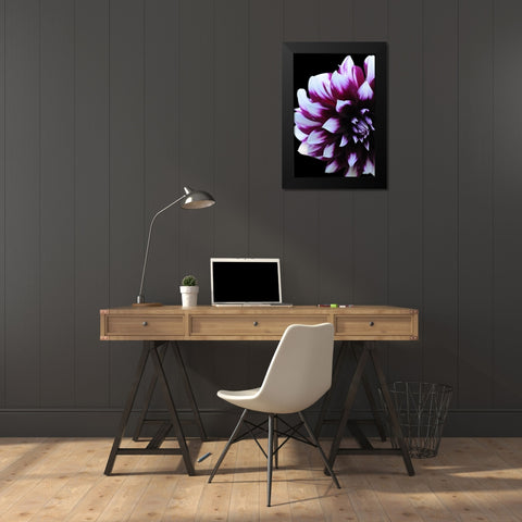 Purple Dahlia 26 Black Modern Wood Framed Art Print by Foschino, Suzanne