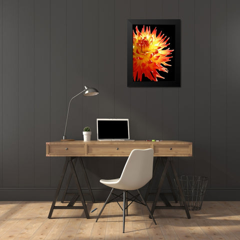 Fire Dahlia 31 Black Modern Wood Framed Art Print by Foschino, Suzanne