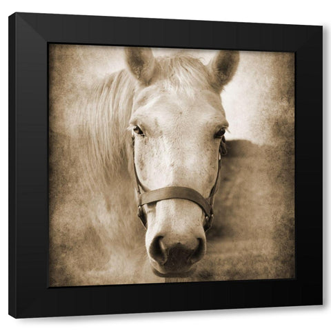 Good Boy Black Modern Wood Framed Art Print with Double Matting by Foschino, Suzanne