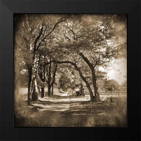 Dirt Road Black Modern Wood Framed Art Print by Foschino, Suzanne