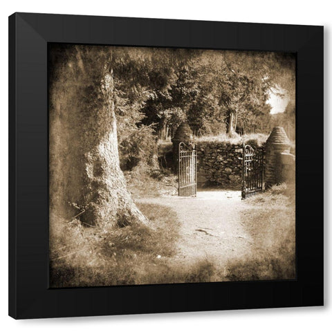 Wicklow Tree Line 2 Black Modern Wood Framed Art Print with Double Matting by Foschino, Suzanne