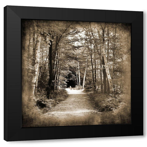 Vermont Mountain Trail 3 Black Modern Wood Framed Art Print with Double Matting by Foschino, Suzanne