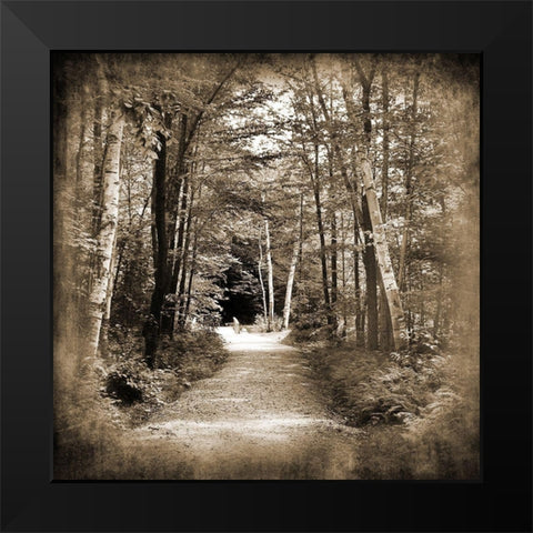 Vermont Mountain Trail 3 Black Modern Wood Framed Art Print by Foschino, Suzanne