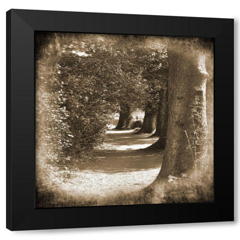 Wicklow Tree Line 1 Black Modern Wood Framed Art Print with Double Matting by Foschino, Suzanne