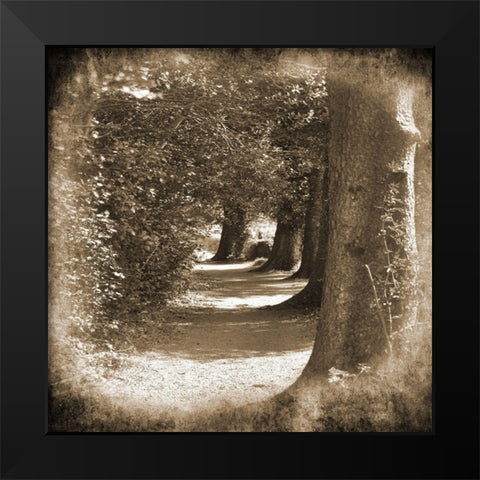 Wicklow Tree Line 1 Black Modern Wood Framed Art Print by Foschino, Suzanne