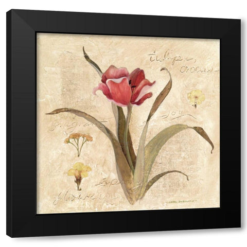 Red Tulip Black Modern Wood Framed Art Print with Double Matting by Robinson, Carol