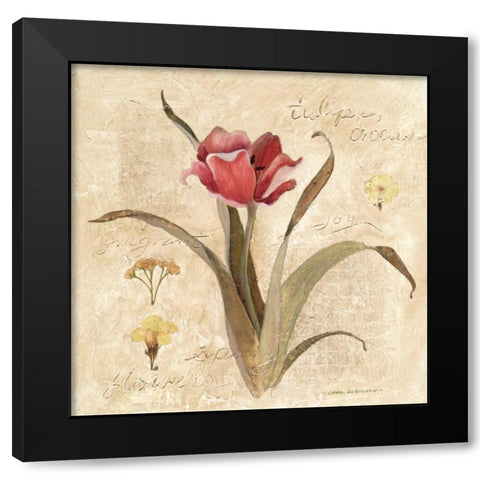 Red Tulip Black Modern Wood Framed Art Print by Robinson, Carol