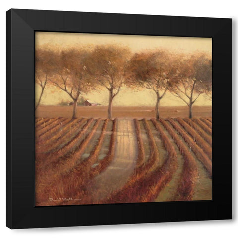 Vintage Sunlit Vineyard Black Modern Wood Framed Art Print with Double Matting by Mathenia, Paul