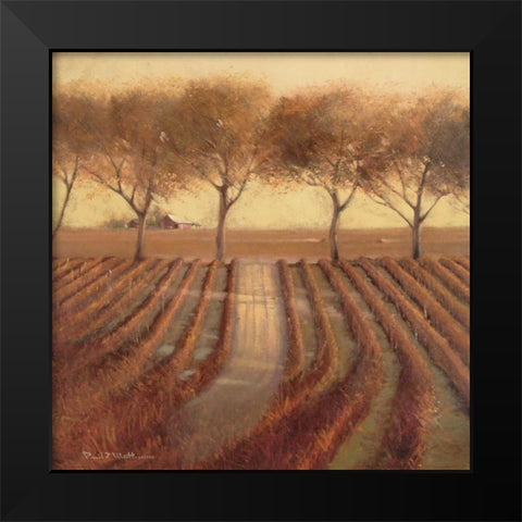 Vintage Sunlit Vineyard Black Modern Wood Framed Art Print by Mathenia, Paul