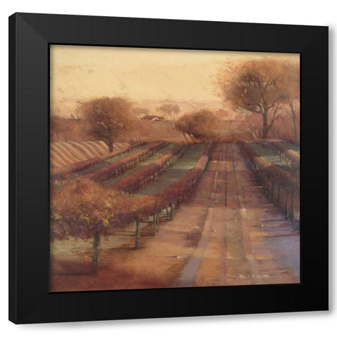 Vineyard Vista Black Modern Wood Framed Art Print by Mathenia, Paul