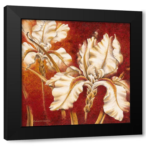 White Iris Black Modern Wood Framed Art Print with Double Matting by Henson, Richard