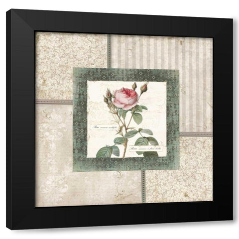 Rosa II Black Modern Wood Framed Art Print with Double Matting by Robinson, Carol