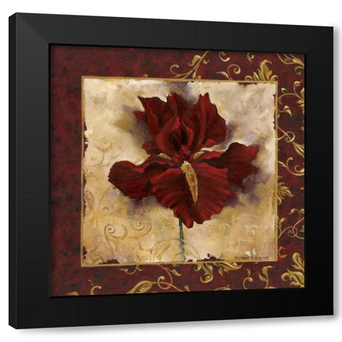 Iris Black Modern Wood Framed Art Print with Double Matting by Henson, Richard