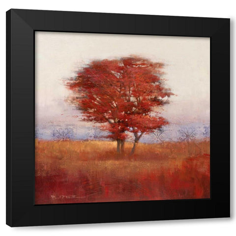 Mathenia-Autumn Morning I Black Modern Wood Framed Art Print with Double Matting by Mathenia, Paul