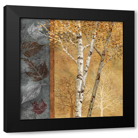 Birch Trees in Autumn I Black Modern Wood Framed Art Print with Double Matting by Knutsen, Conrad