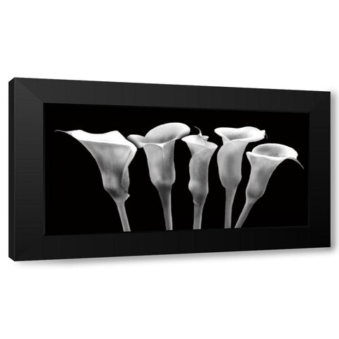 Lilies at Night Black Modern Wood Framed Art Print by Craven, Katrina