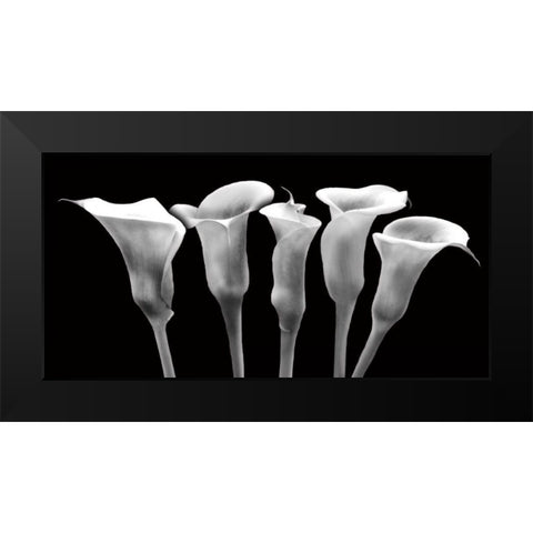 Lilies at Night Black Modern Wood Framed Art Print by Craven, Katrina