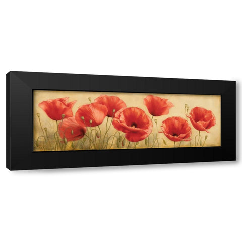 Poppies Grace I Black Modern Wood Framed Art Print by Levashov, Igor