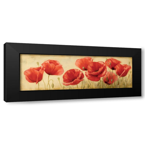 Poppies Grace II Black Modern Wood Framed Art Print by Levashov, Igor